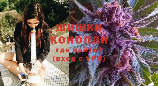 ПСИЛОЦИБИНОВЫЕ ГРИБЫ Майский