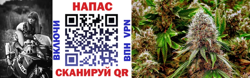 Бошки Шишки MAZAR  где можно купить   Пугачёв 
